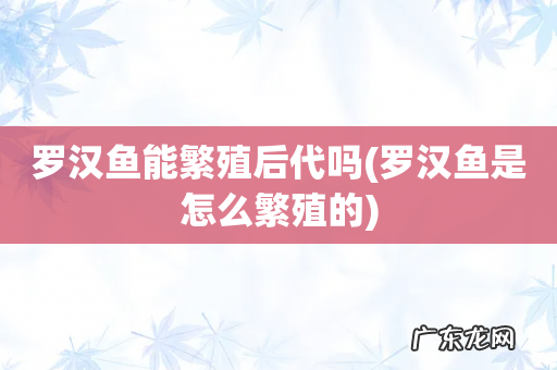 罗汉鱼是怎么繁殖的 罗汉鱼能繁殖后代吗