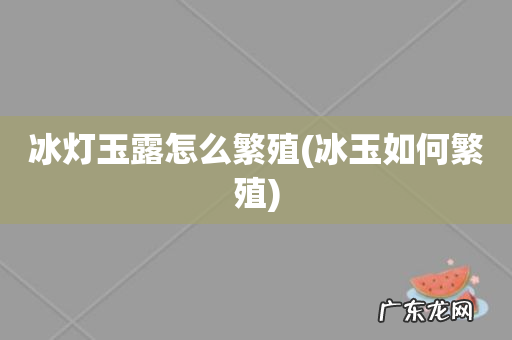 冰玉如何繁殖 冰灯玉露怎么繁殖