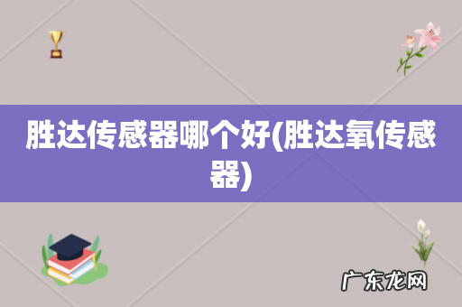 胜达氧传感器 胜达传感器哪个好