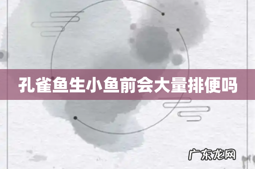 孔雀鱼生小鱼前会大量排便吗