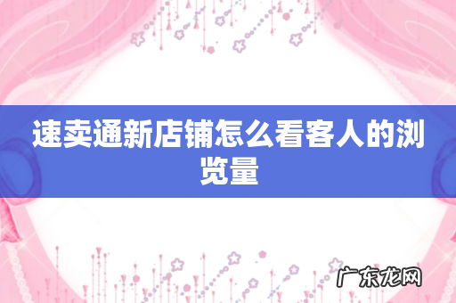 速卖通新店铺怎么看客人的浏览量