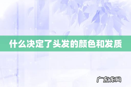 什么决定了头发的颜色和发质