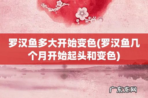 罗汉鱼几个月开始起头和变色 罗汉鱼多大开始变色