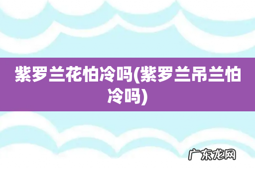 紫罗兰吊兰怕冷吗 紫罗兰花怕冷吗
