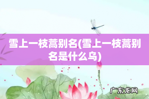 雪上一枝蒿别名是什么乌 雪上一枝蒿别名