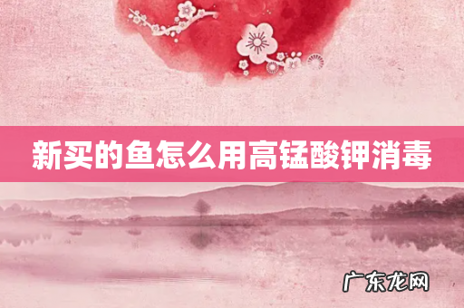 新买的鱼怎么用高锰酸钾消毒
