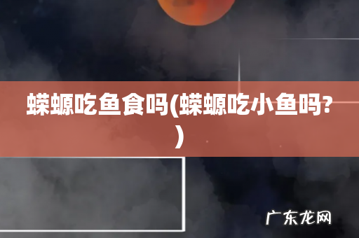 蝾螈吃小鱼吗? 蝾螈吃鱼食吗