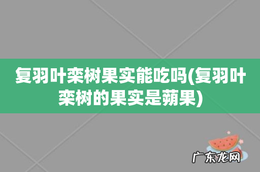 复羽叶栾树的果实是蒴果 复羽叶栾树果实能吃吗