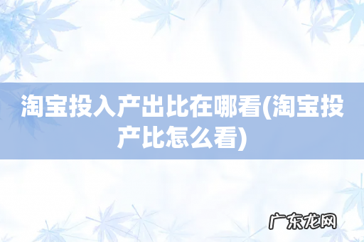 淘宝投产比怎么看 淘宝投入产出比在哪看