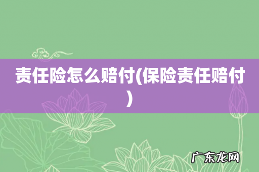 保险责任赔付 责任险怎么赔付