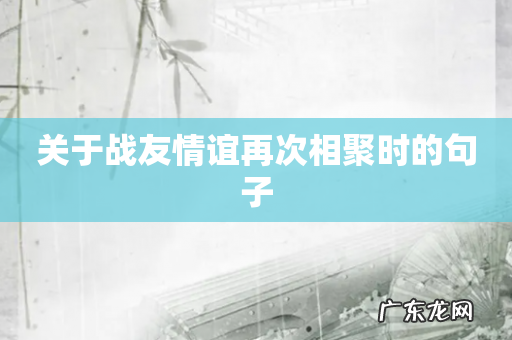 关于战友情谊再次相聚时的句子