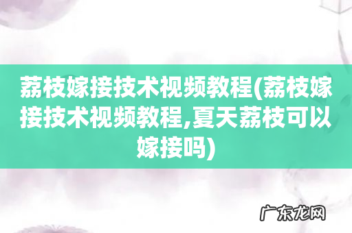 荔枝嫁接技术视频教程,夏天荔枝可以嫁接吗 荔枝嫁接技术视频教程