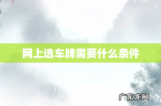 网上选车牌需要什么条件