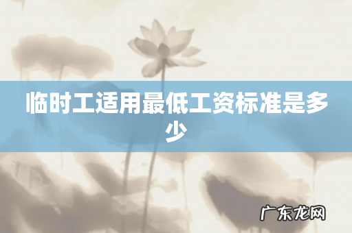 临时工适用最低工资标准是多少