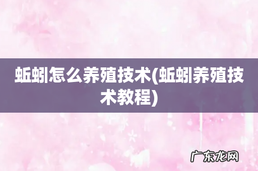 蚯蚓养殖技术教程 蚯蚓怎么养殖技术