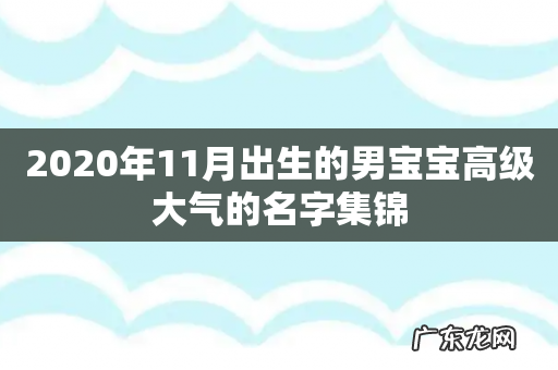 2020年11月出生的男宝宝高级大气的名字集锦