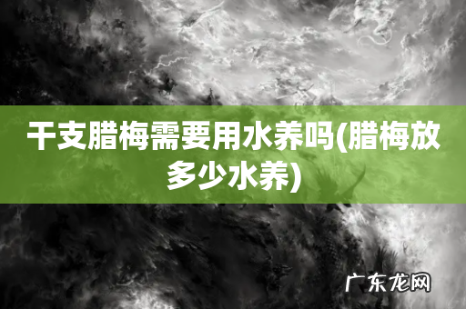 腊梅放多少水养 干支腊梅需要用水养吗