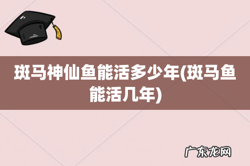 斑马鱼能活几年 斑马神仙鱼能活多少年