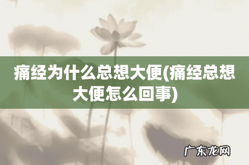 痛经总想大便怎么回事 痛经为什么总想大便