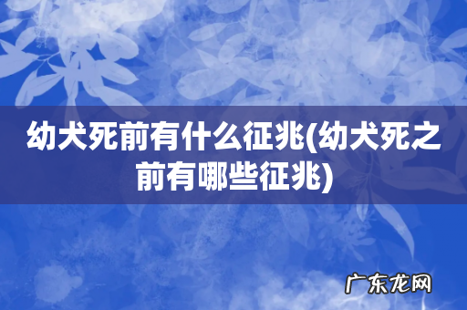 幼犬死之前有哪些征兆 幼犬死前有什么征兆