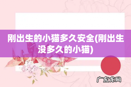 刚出生没多久的小猫 刚出生的小猫多久安全