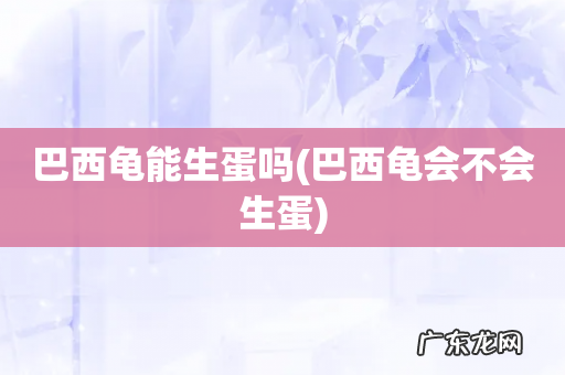 巴西龟会不会生蛋 巴西龟能生蛋吗