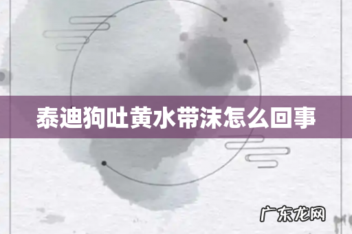 泰迪狗吐黄水带沫怎么回事