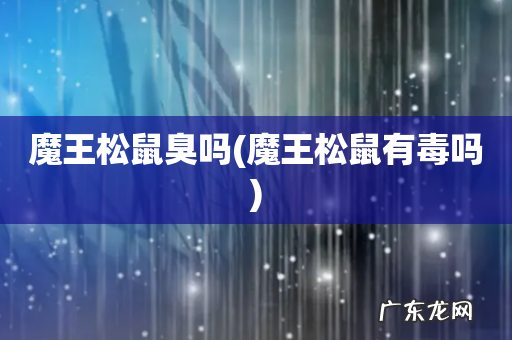 魔王松鼠有毒吗 魔王松鼠臭吗