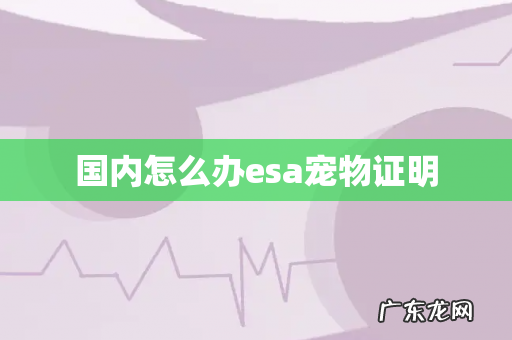 国内怎么办esa宠物证明