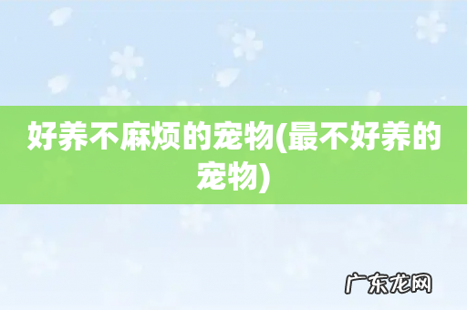 最不好养的宠物 好养不麻烦的宠物