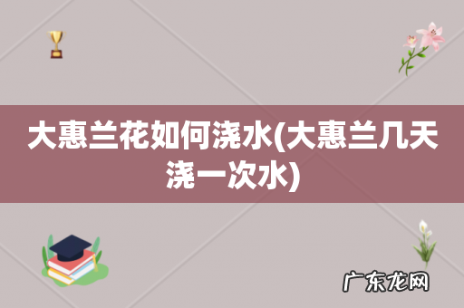 大惠兰几天浇一次水 大惠兰花如何浇水