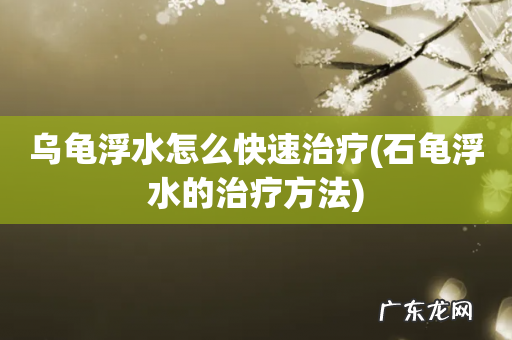 石龟浮水的治疗方法 乌龟浮水怎么快速治疗