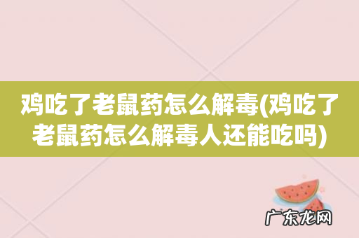 鸡吃了老鼠药怎么解毒人还能吃吗 鸡吃了老鼠药怎么解毒