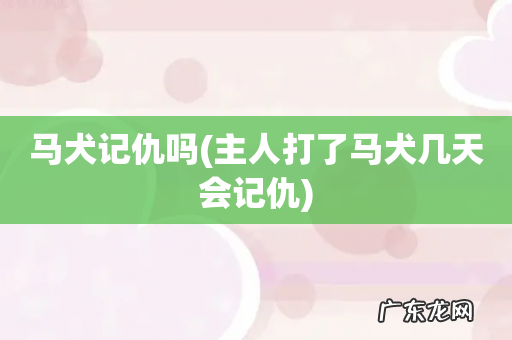 主人打了马犬几天会记仇 马犬记仇吗