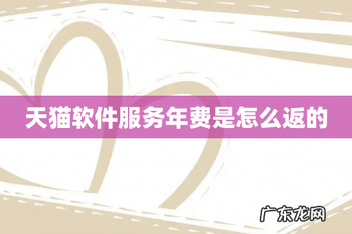 天猫软件服务年费是怎么返的