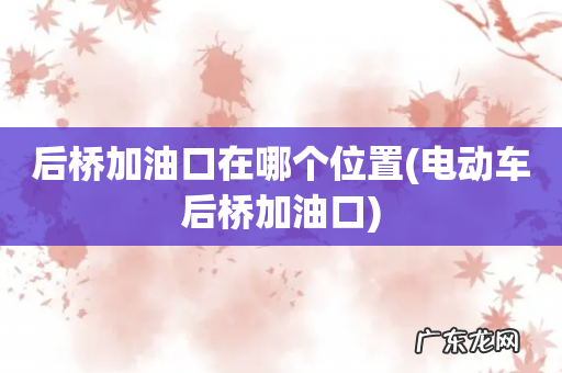 电动车后桥加油口 后桥加油口在哪个位置