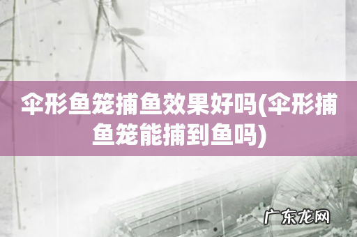伞形捕鱼笼能捕到鱼吗 伞形鱼笼捕鱼效果好吗