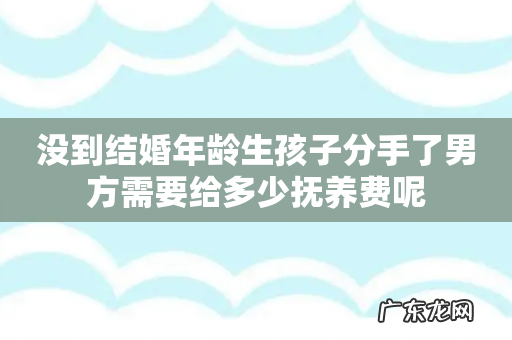 没到结婚年龄生孩子分手了男方需要给多少抚养费呢