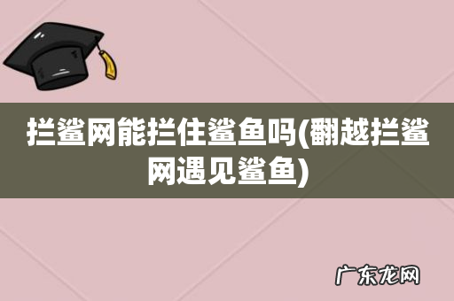 翻越拦鲨网遇见鲨鱼 拦鲨网能拦住鲨鱼吗