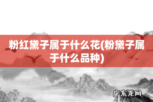 粉黛子属于什么品种 粉红黛子属于什么花