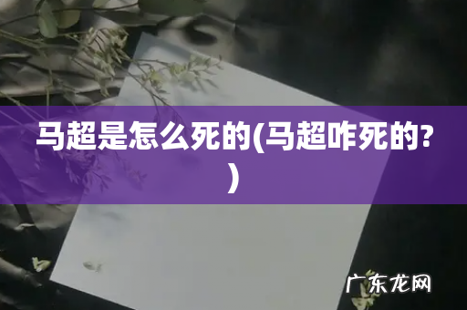 马超咋死的? 马超是怎么死的