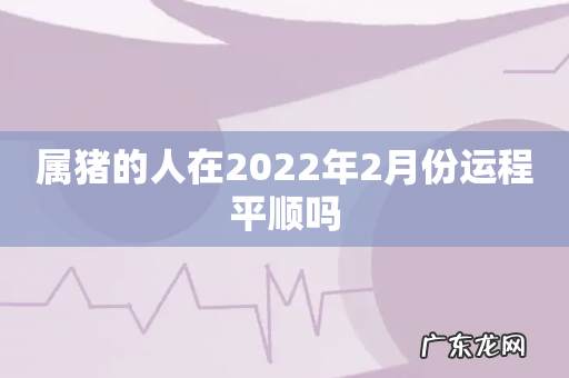 属猪的人在2022年2月份运程平顺吗