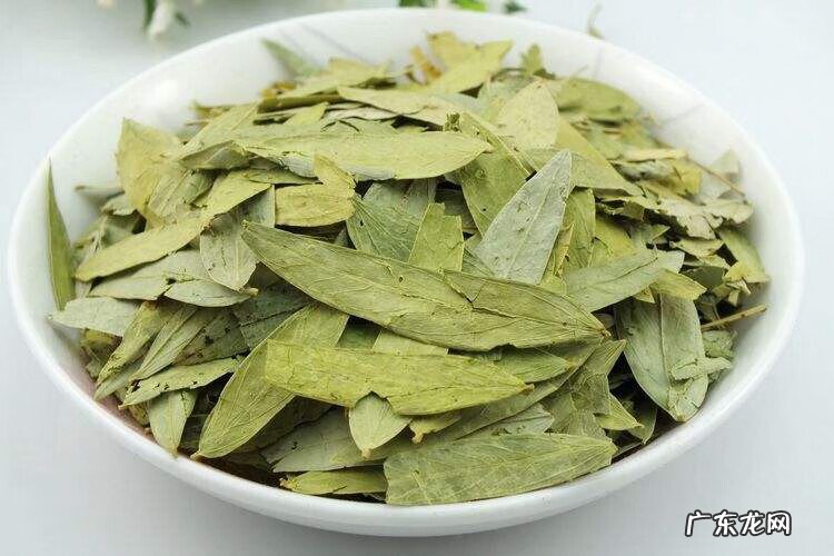 番泻叶的正确服用方法 番泻叶的功效与作用与用量