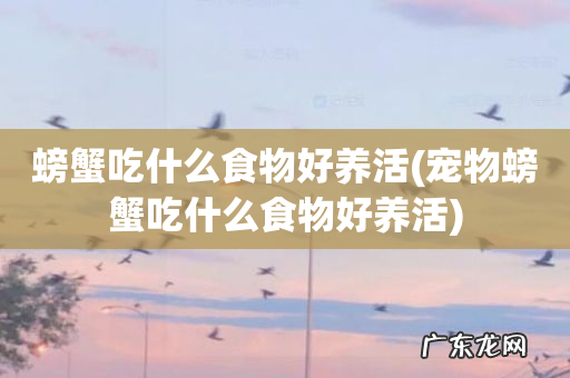 宠物螃蟹吃什么食物好养活 螃蟹吃什么食物好养活