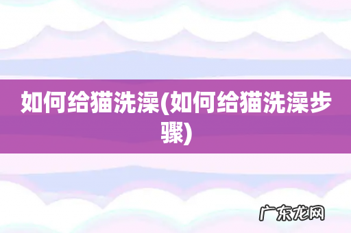 如何给猫洗澡步骤 如何给猫洗澡