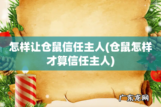 仓鼠怎样才算信任主人 怎样让仓鼠信任主人