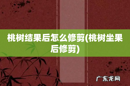 桃树坐果后修剪 桃树结果后怎么修剪