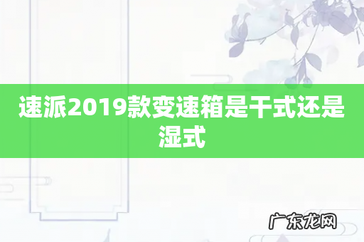 速派2019款变速箱是干式还是湿式