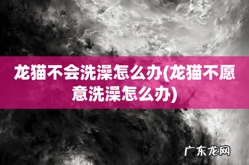龙猫不愿意洗澡怎么办 龙猫不会洗澡怎么办