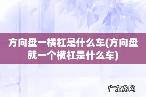 方向盘就一个横杠是什么车 方向盘一横杠是什么车